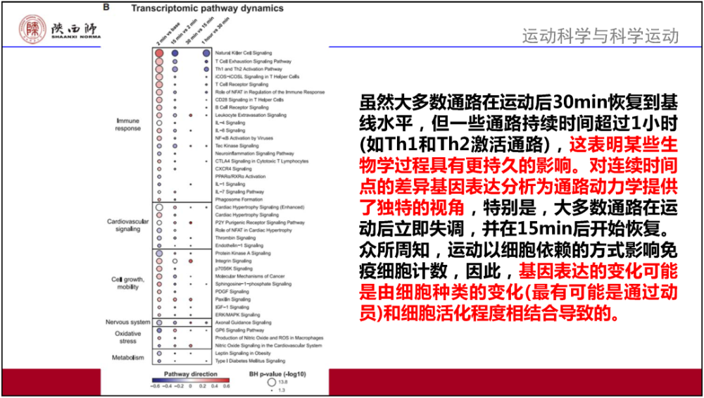 咨询 第137页