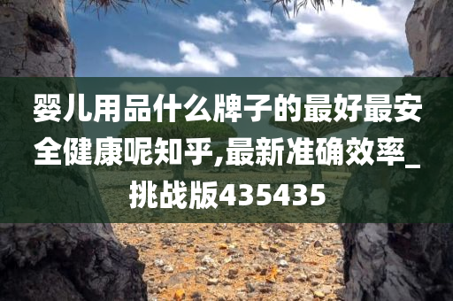 探索未来，2025年新澳全年资料深度解析与推荐2025年新澳全年资料,推荐口碑非常强_高分辨率版6.61.457