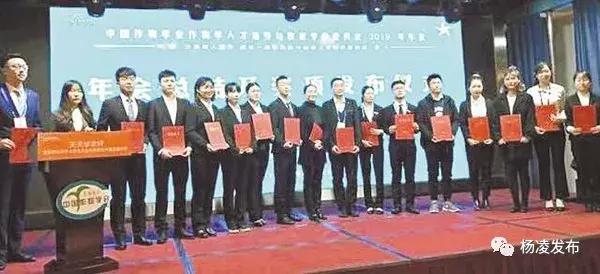 解析与落实，关于2025年天天彩免费资料的政策释义与实施策略解析与落实,关于2025年天天彩免费资料的政策释义与实施策